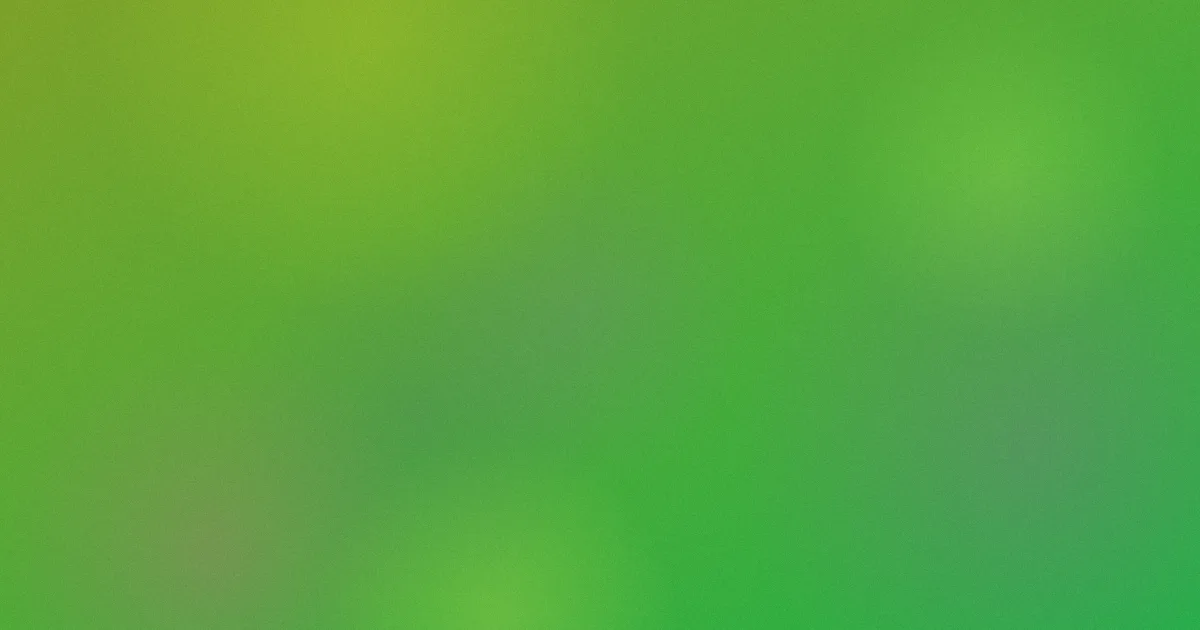 vox推荐：新手该不该用